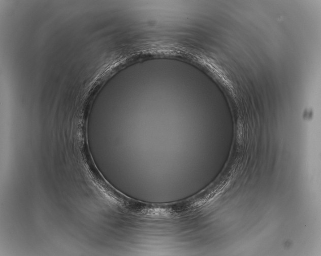 X0000094900449200712201138