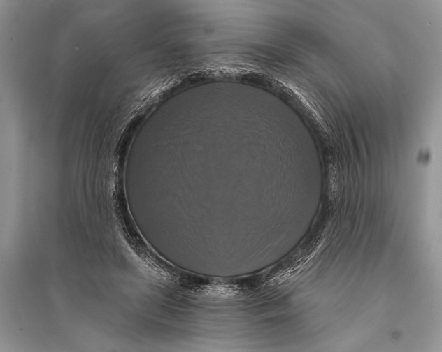 X0000094900451200712201138