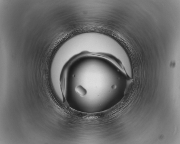 X0000094900452200712201138