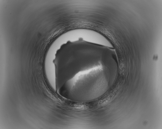 X0000094900454200712201138