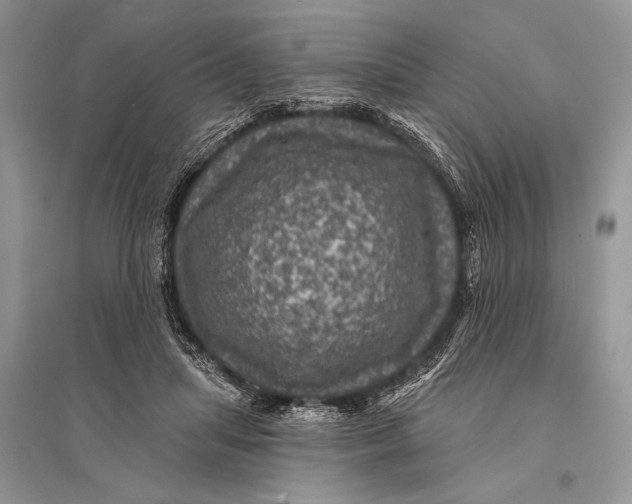 X0000094900455200712201138