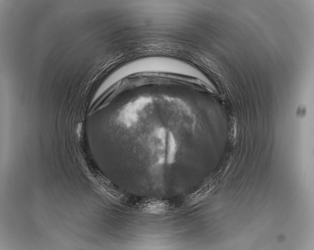 X0000094900456200712201138