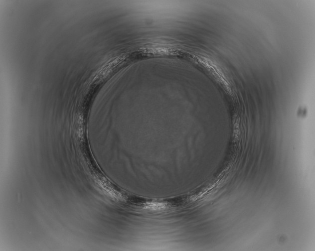 X0000094900457200712201138