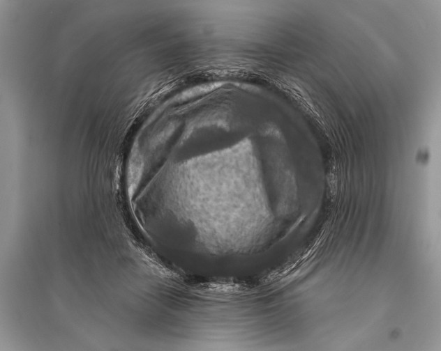 X0000094900458200712201138