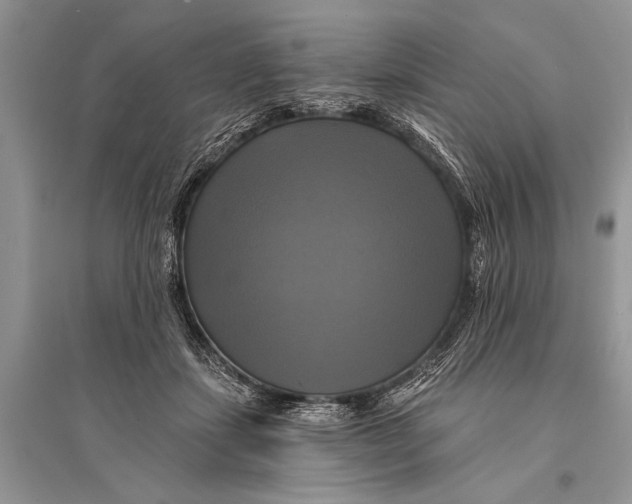 X0000094900459200712201138