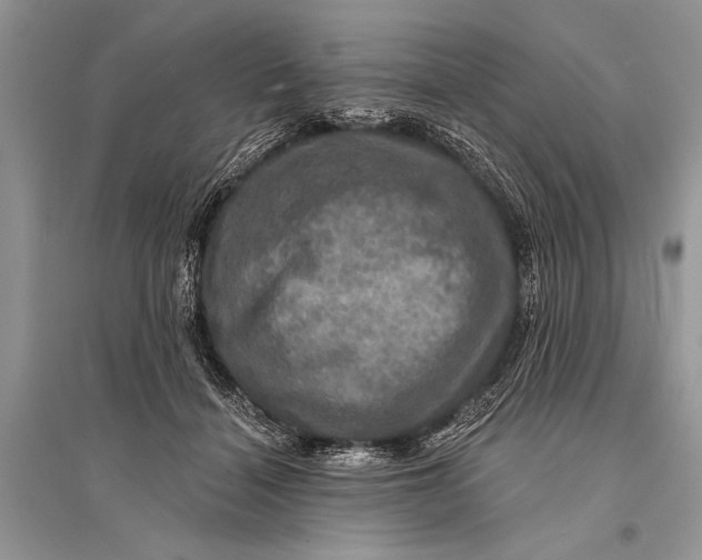 X0000094900460200712201138