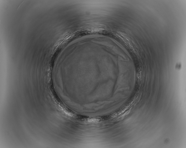 X0000094900462200712201138