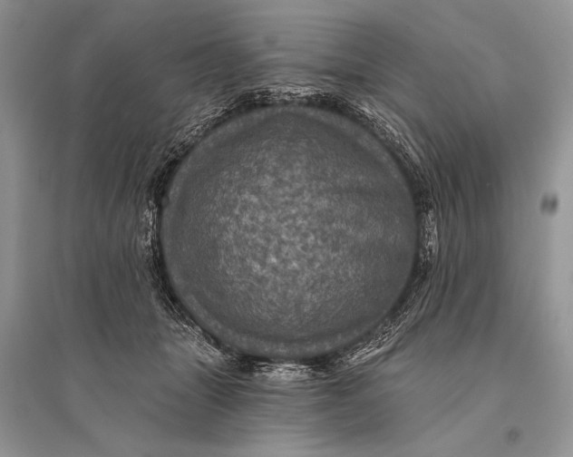 X0000094900463200712201138