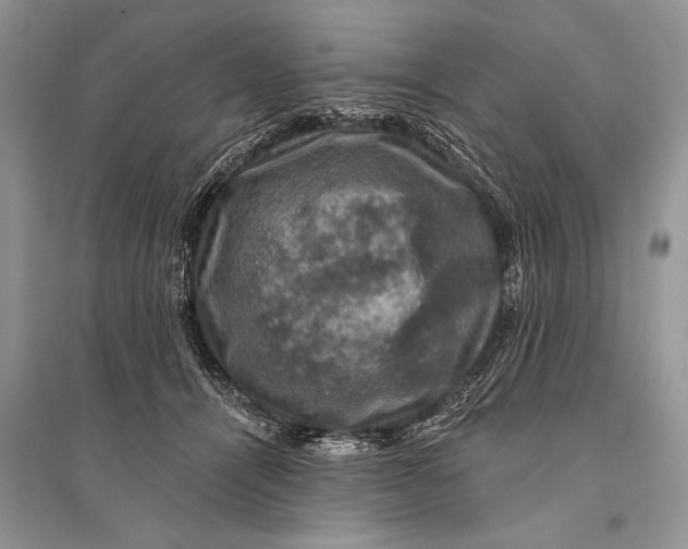 X0000094900464200712201138