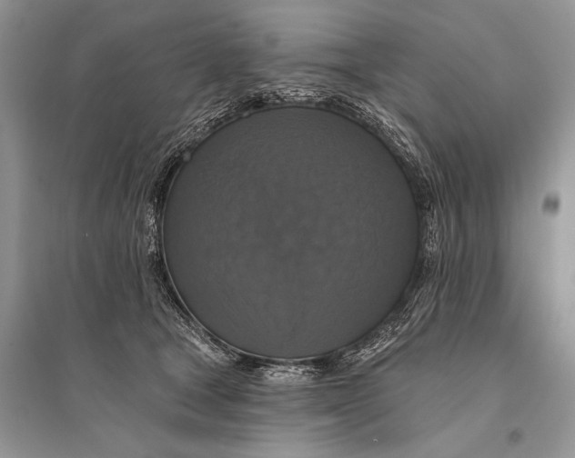 X0000094900465200712201138