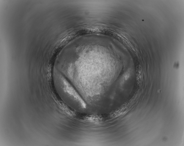 X0000094900466200712201138