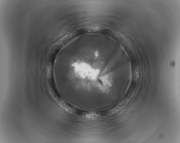 X0000094900468200712201138