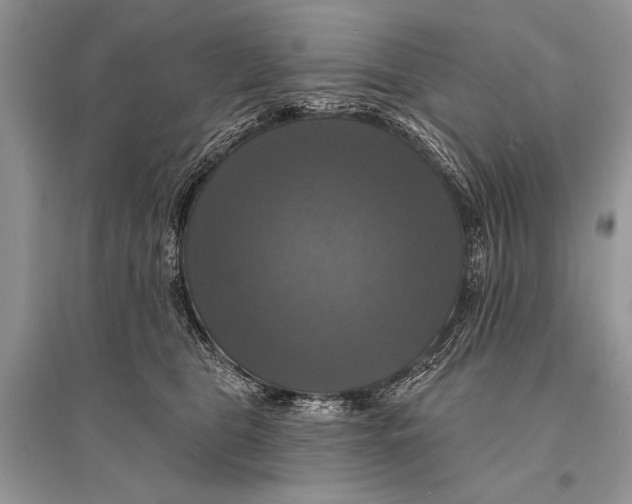 X0000094900469200712201138