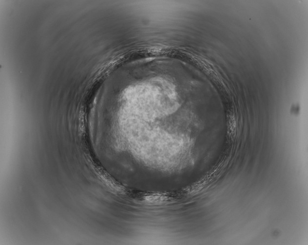 X0000094900470200712201138