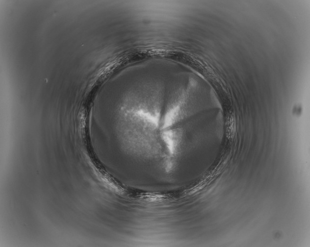 X0000094900472200712201138