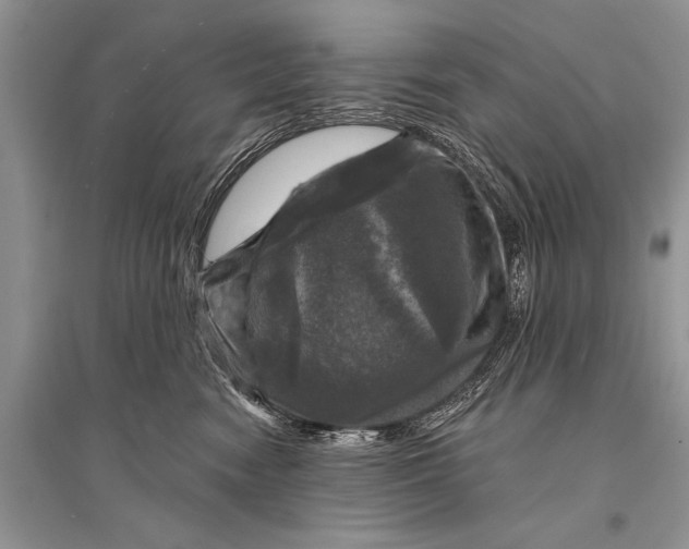 X0000094900474200712201139