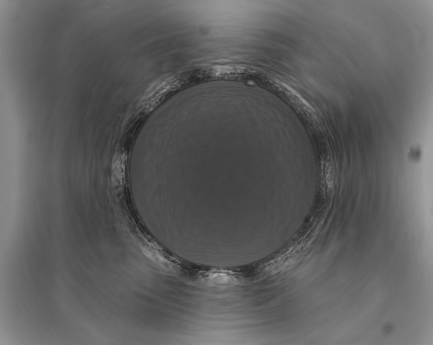 X0000094900475200712201139