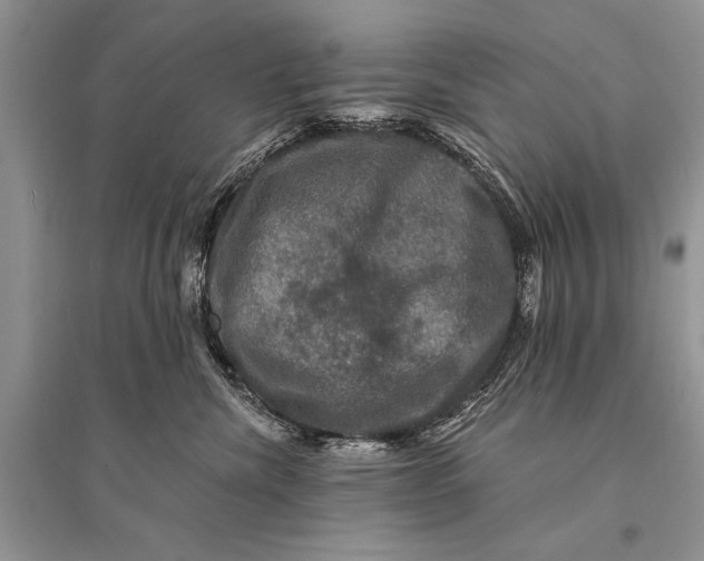 X0000094900476200712201139