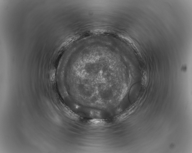 X0000094900477200712201139