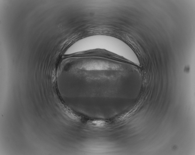 X0000094900478200712201139