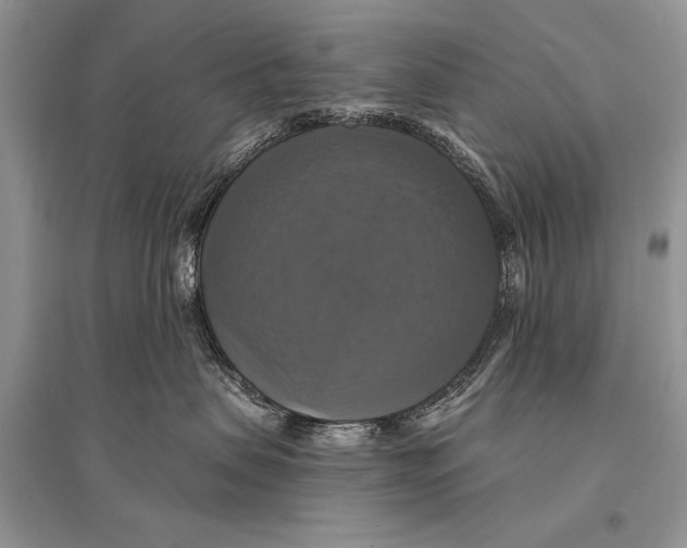 X0000094900479200712201139