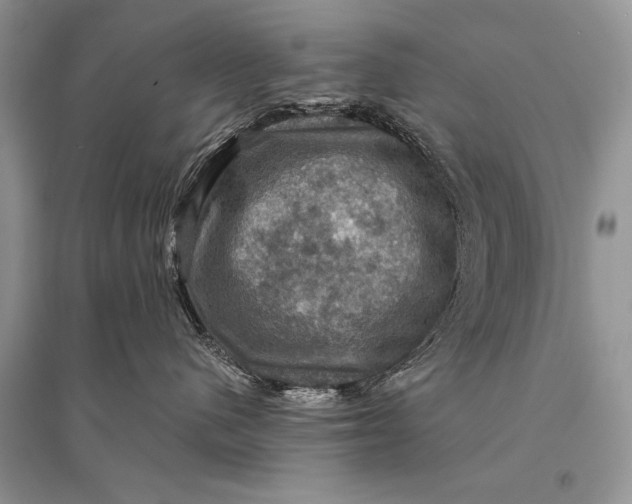 X0000094900480200712201139