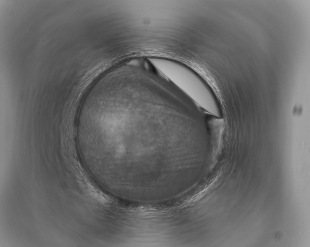 X0000094900481200712201138