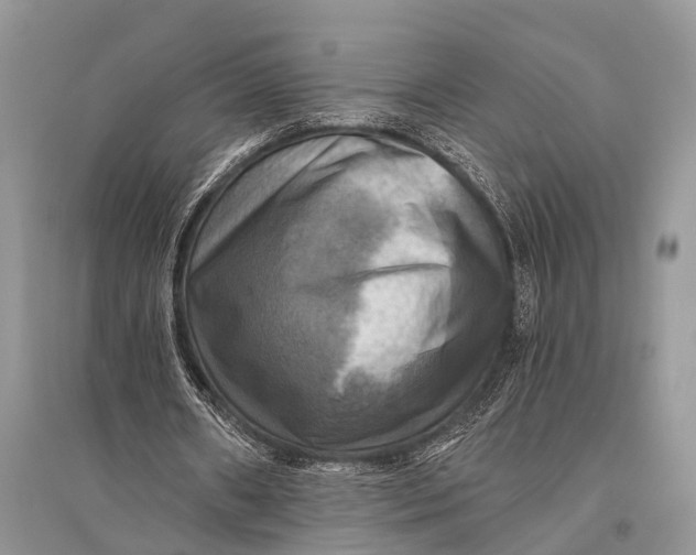 X0000094900482200712201138