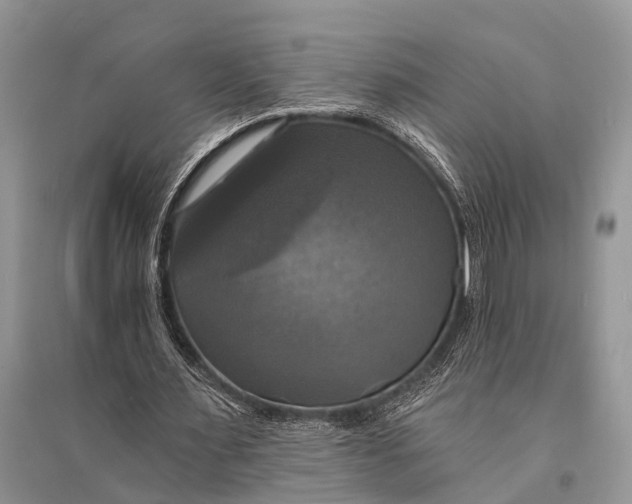 X0000094900483200712201138