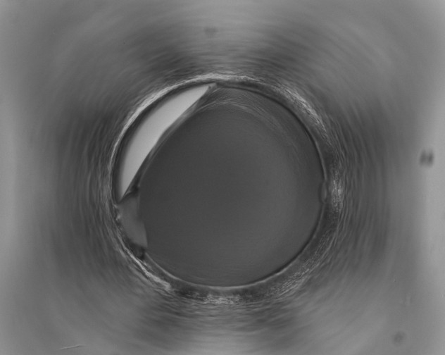 X0000094900484200712201138