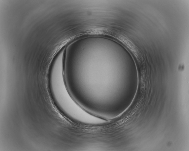 X0000094900485200712201138