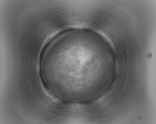 X0000094900486200712201138