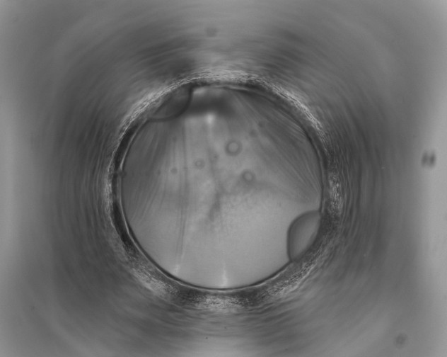 X0000094900487200712201138