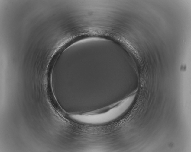 X0000094900488200712201138