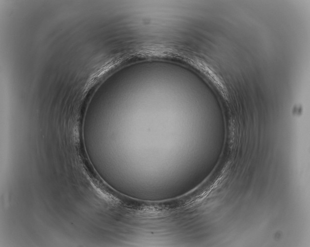 X0000094900489200712201138