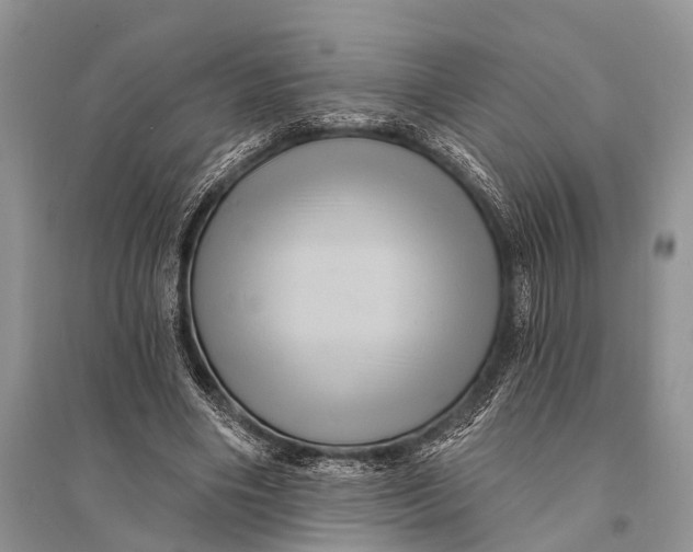 X0000094900490200712201138