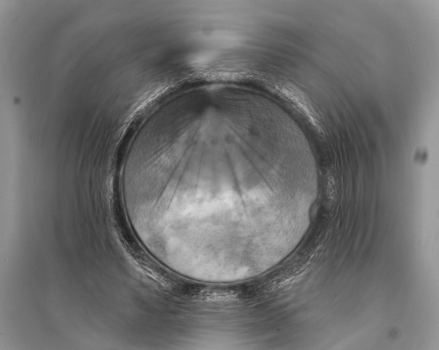 X0000094900491200712201138