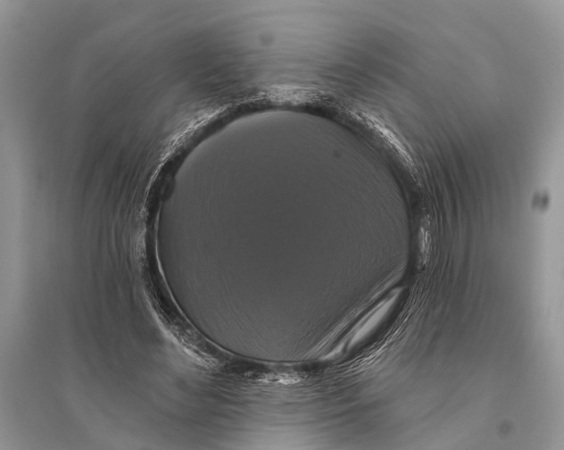 X0000094900492200712201138