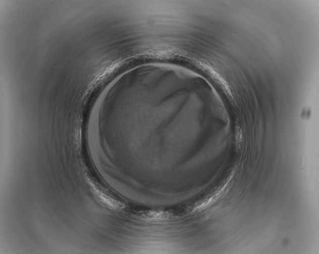 X0000094900493200712201138