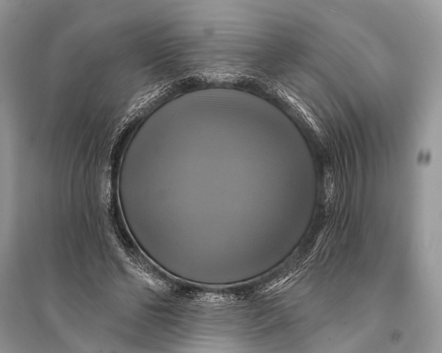 X0000094900494200712201138