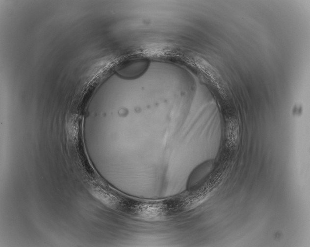 X0000094900495200712201138