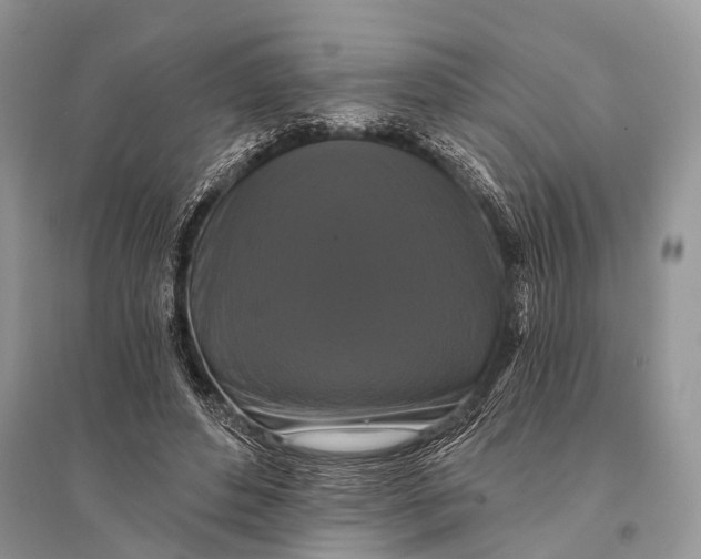 X0000094900496200712201138