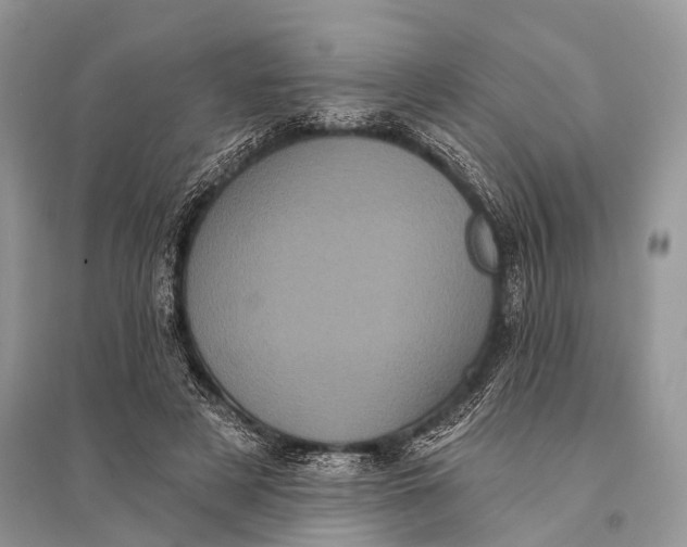 X0000094900497200712201138