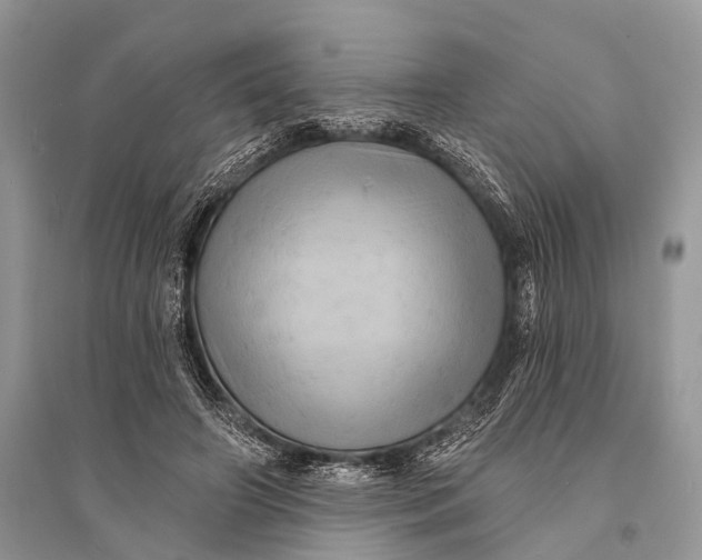 X0000094900498200712201138