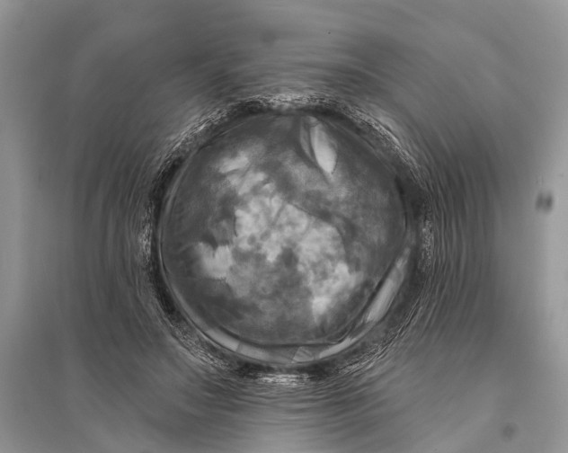 X0000094900499200712201138