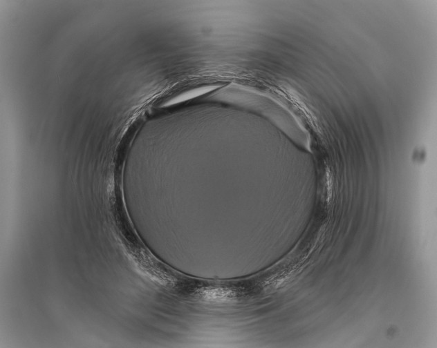 X0000094900500200712201137