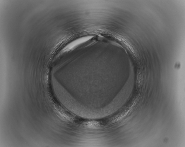 X0000094900501200712201137