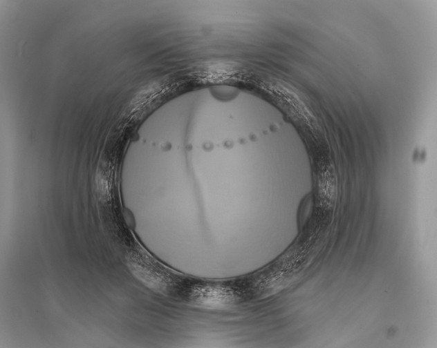 X0000094900503200712201137