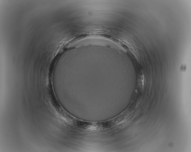 X0000094900504200712201137