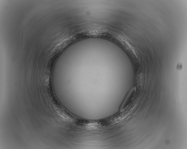 X0000094900505200712201137